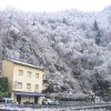 brucello-sanbuca pistoiese 007